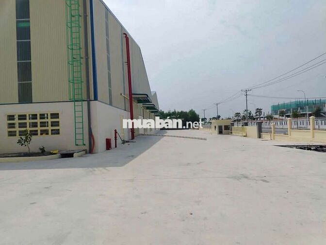 Cho thuê xưởng 55.000m2 trong Hớn Quản Bình Phước