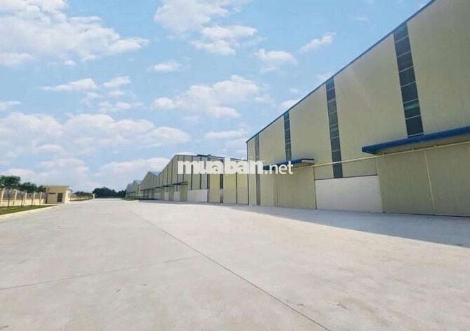 Cho thuê xưởng 55.000m2 trong Hớn Quản Bình Phước