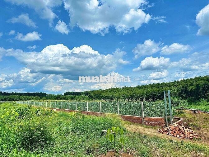 chính chủ ngộp bán gấp mãnh đất view sông tại TP HCM