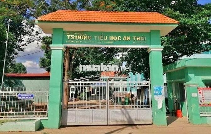 Đất Ngộp TP HCM mới, đường nhựa DT 600m2 thổ cư 200m2, Giá 650 triệu