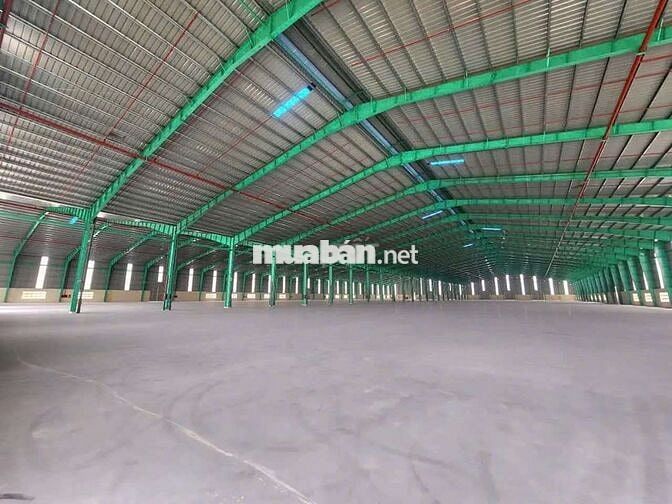 Cho thuê xưởng 55.000m2 trong Hớn Quản Bình Phước