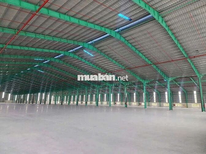 Cho thuê xưởng 55.000m2 trong Hớn Quản Bình Phước