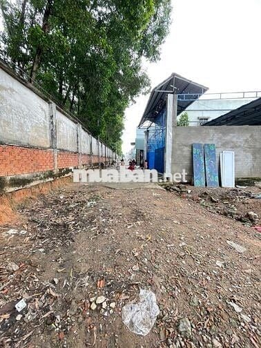 Đất 60m kdc gần bờ hồ Biconsi p. Tân Bình Dĩ An