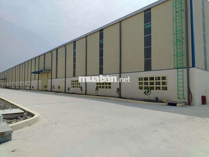 Cho thuê xưởng 55.000m2 trong Hớn Quản Bình Phước