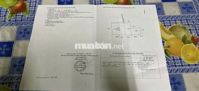 Đất lúa giá tốt Xã Tân Phú, Đức Hòa, 1,5 tỷ, 1680 m2