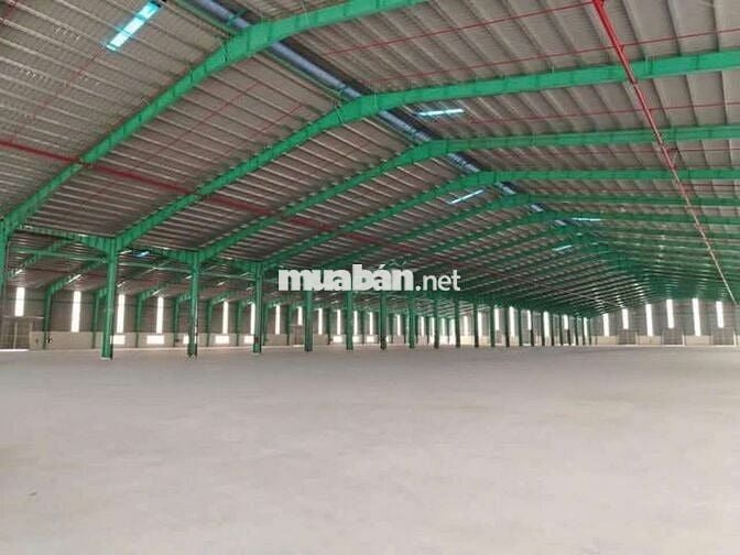 Cho thuê xưởng 55.000m2 trong Hớn Quản Bình Phước