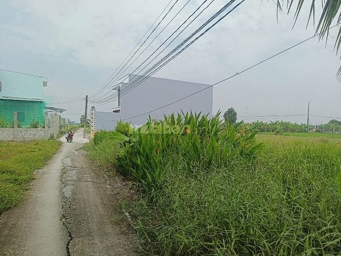 Chính chủ bán đất thổ cư 100m2