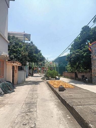 Chính chủ bán đất trung tâm Phụng Châu gần UB, trạm y tế 🔥