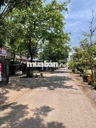 Bán 278m2 thổ cư sổ riêng gần núi Chứa Chan Xuân Lộc Đồng Nai hơn600tr