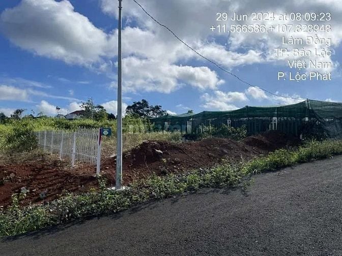 Công ty Đấu giá hợp danh Lam Sơn Sài Gòn THÔNG BÁO ĐẤU GIÁ TÀI SẢN