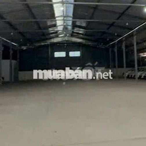 Cho thuê mặt bằng kho bãi Quận 7 DT 1200m