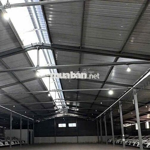 Cho thuê mặt bằng kho bãi Quận 7 DT 1200m