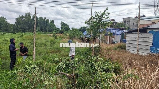 Bán gấp lô đất 661,5m2 Sổ hồng riêng tại Lê Minh Xuân, Bình Chánh cũ