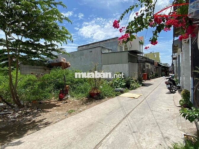 Giảm giá bán nhanh đất ở đường Bờ Xe Lam, Bình Chánh