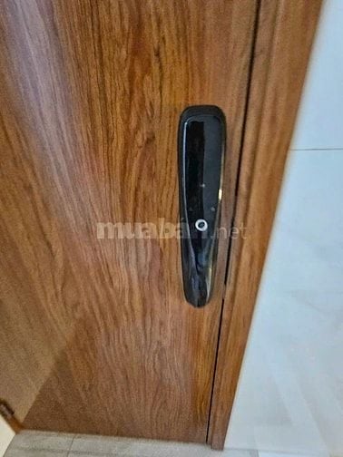 Biệt Thự 10x15m siêu mới, siêu rẻ nhất khu vực Bến Lức