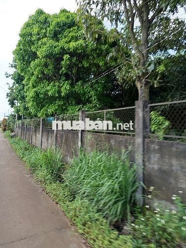 Đất thổ cư, gần khu du lịch núi Chứa Chan