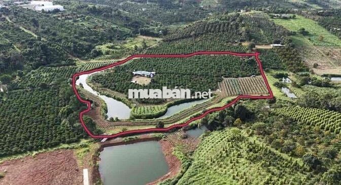 CẦN BÁN GẤP LÔ ĐẤT VIEW XỊN BẢO LỘC