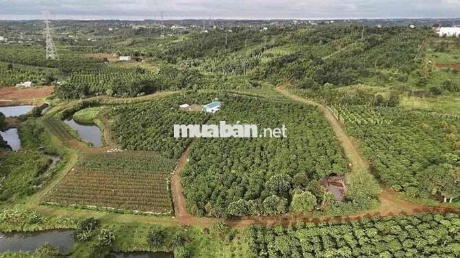 CẦN BÁN GẤP LÔ ĐẤT VIEW XỊN BẢO LỘC