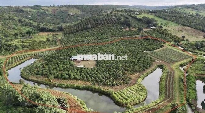 CẦN BÁN GẤP LÔ ĐẤT VIEW XỊN BẢO LỘC