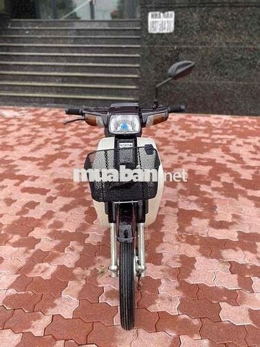 Honda Dream thái 2001,bstp,xe dọn mới đẹp keng