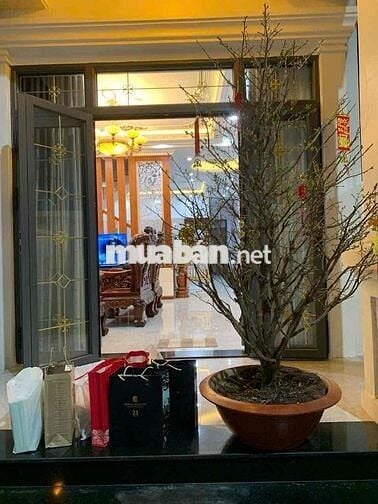 Nhà mái thái biệt thự nhỏ,mặt tiền nhựa 7m gần đường HVL