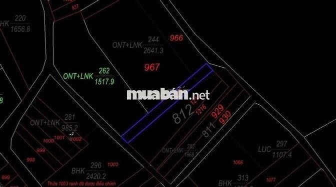 GẤP - Em cần bán 295m2 tại Quốc Lộ vào 50m giá chỉ 780Tr không lộ giới