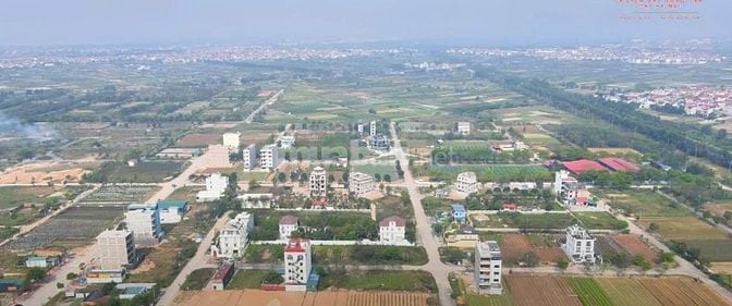 Chuyên mua bán đất liền kề biệt thự dự án Cienco 5 huyện Mê Linh sổ đỏ