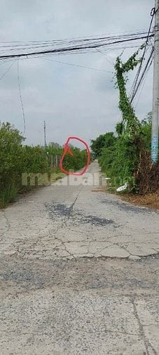 Cho thuê 1000m2 đất làm xưởng hoặc kinh doanh 