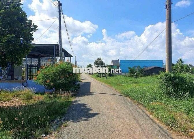 Bán gấp , đất HXH khu phân lô 6 x27 m , QL50 Thạnh Nhựt , Gò Công Tây