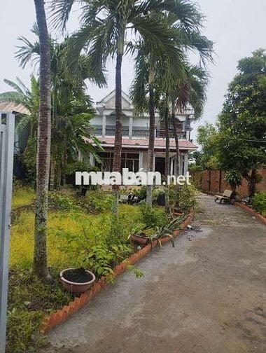 Cho thuê biệt thự và vuờn khu kênh Năm Bưởi,Ấp Tân Phú