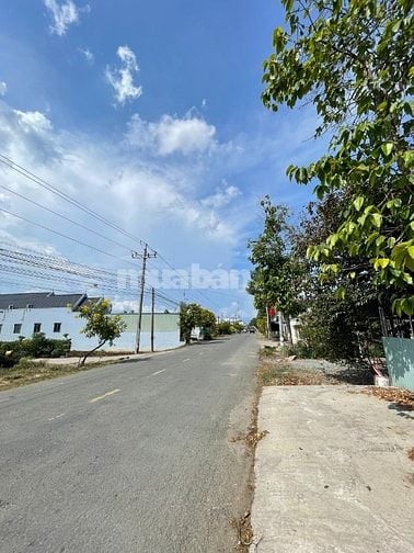 Bán đất full thổ cư MT đường DT833, Diện tích: 1441 m2, Giá 7.5 tỷ