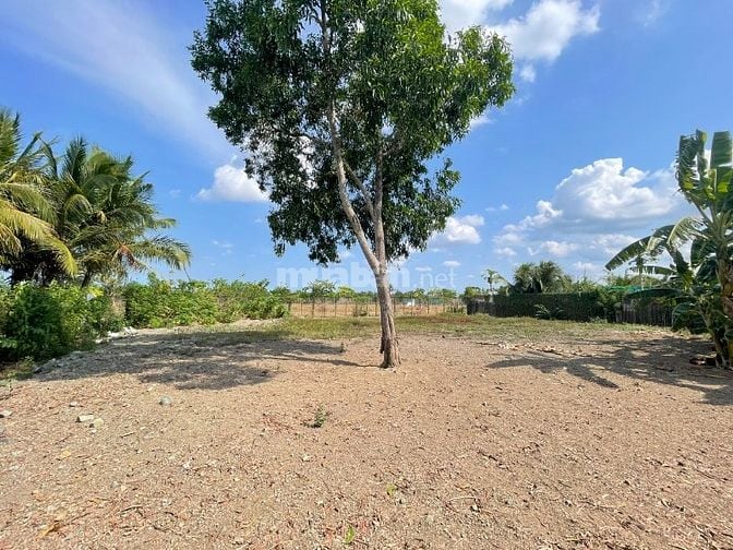 Bán đất full thổ cư MT đường DT833, Diện tích: 1441 m2, Giá 7.5 tỷ