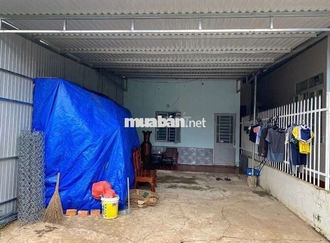 Bán đất tặng nhà hẻm 56 Nguyễn Thị Định