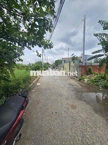 MẶT TIỀN NHỰA 10M VƯỜN LÀI AN PHÚ ĐÔNG- DIỆN TÍCH LỚN KHÓ TÌM 1246M2