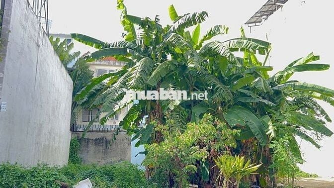 VIP! BÁN GẤP LÔ ĐẤT NGANG 7M KHU DỰ ÁN PHÚ NHUẬN BÊN SÔNG HBC