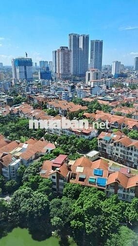 Cho thuê căn hộ CCCC Mulberry Lane