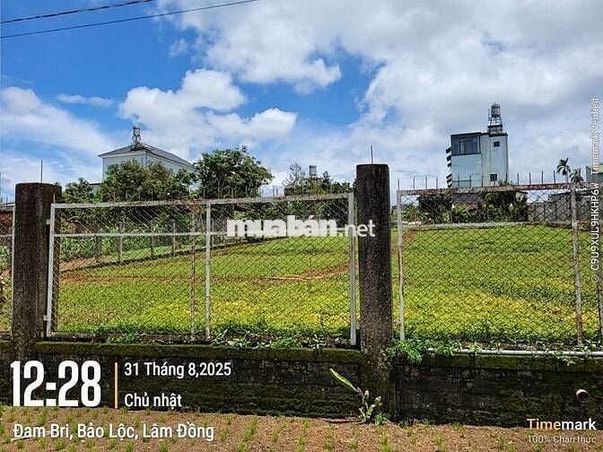 ĐẤT ĐẸP NGAY GẦN TRUNG TÂM SẴN THỔ CƯ