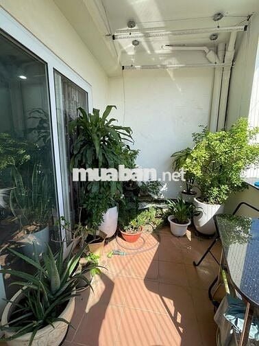 Chính chủ bán CH C6 Mỹ Đình căn góc 3PN 135m2 full nội thất chỉ 7,5 tỷ