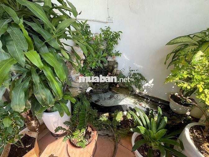 Chính chủ bán CH C6 Mỹ Đình căn góc 3PN 135m2 full nội thất chỉ 7,5 tỷ
