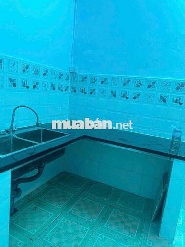 Cho Thuê Nhà Hẻm Xe Hơi, Đường Nguyễn Quý Yêm