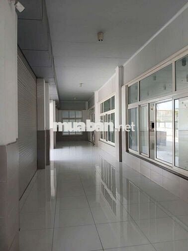 KHO XƯỞNG (5.000m²) MT DƯƠNG ĐÌNH CÚC, BÌNH CHÁNH cũ