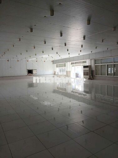 KHO XƯỞNG (5.000m²) MT DƯƠNG ĐÌNH CÚC, BÌNH CHÁNH cũ