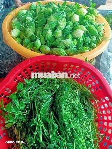 🏡 Cực hiếm! 2000m² Long Khánh, giá 1.95 tỷ, kề cao tốc Dầu Giây Đà Lạt