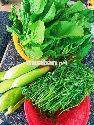 🏡 Cực hiếm! 2000m² Long Khánh, giá 1.95 tỷ, kề cao tốc Dầu Giây Đà Lạt