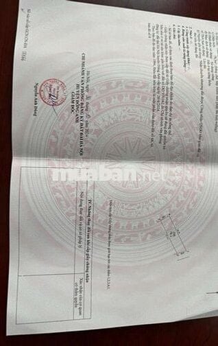 THÔN BẦU - ĐÔNG ANH - THỬA ĐẸP VỪA MIẾNG - GẦN PHỐ - GIỮ TIỀN ĐỈNH