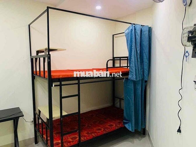 cho thuê giường tầng ký túc xá sinh viên tôn đức thắng - đại học mở