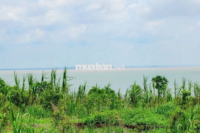 ĐẤT VƯỜN sổ đỏ 6.456m2 cạnh HỒ TRỊ AN - đường nhựa xe hơi