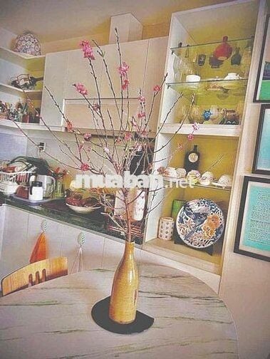 Cho thuê CC Jamona City 2PN2WC Full nội thất giá tốt. Ở liền