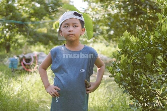 📸 Chụp ảnh ngoại cảnh, quán cà phê chỉ 300K/người – Book lịch ngay!