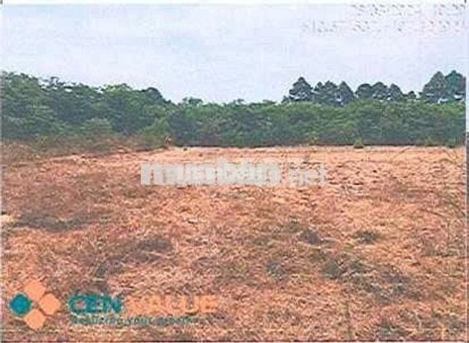 Bán ĐGTS đất tại phường Tân Thành, TP. Hồ Chí Minh
